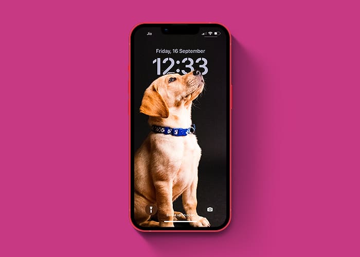 Cute dog wallpaper for iOS 16 Lock Screen