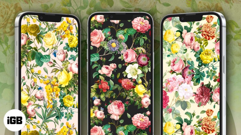 Free flower wallpapers for iPhone