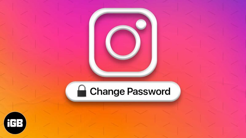 How to change your Instagram password