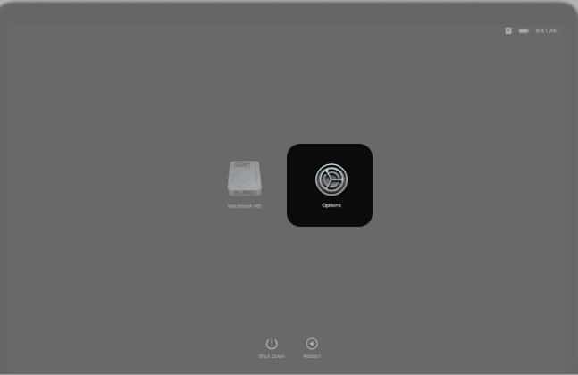 Select the Gear icon with the Options label on Mac